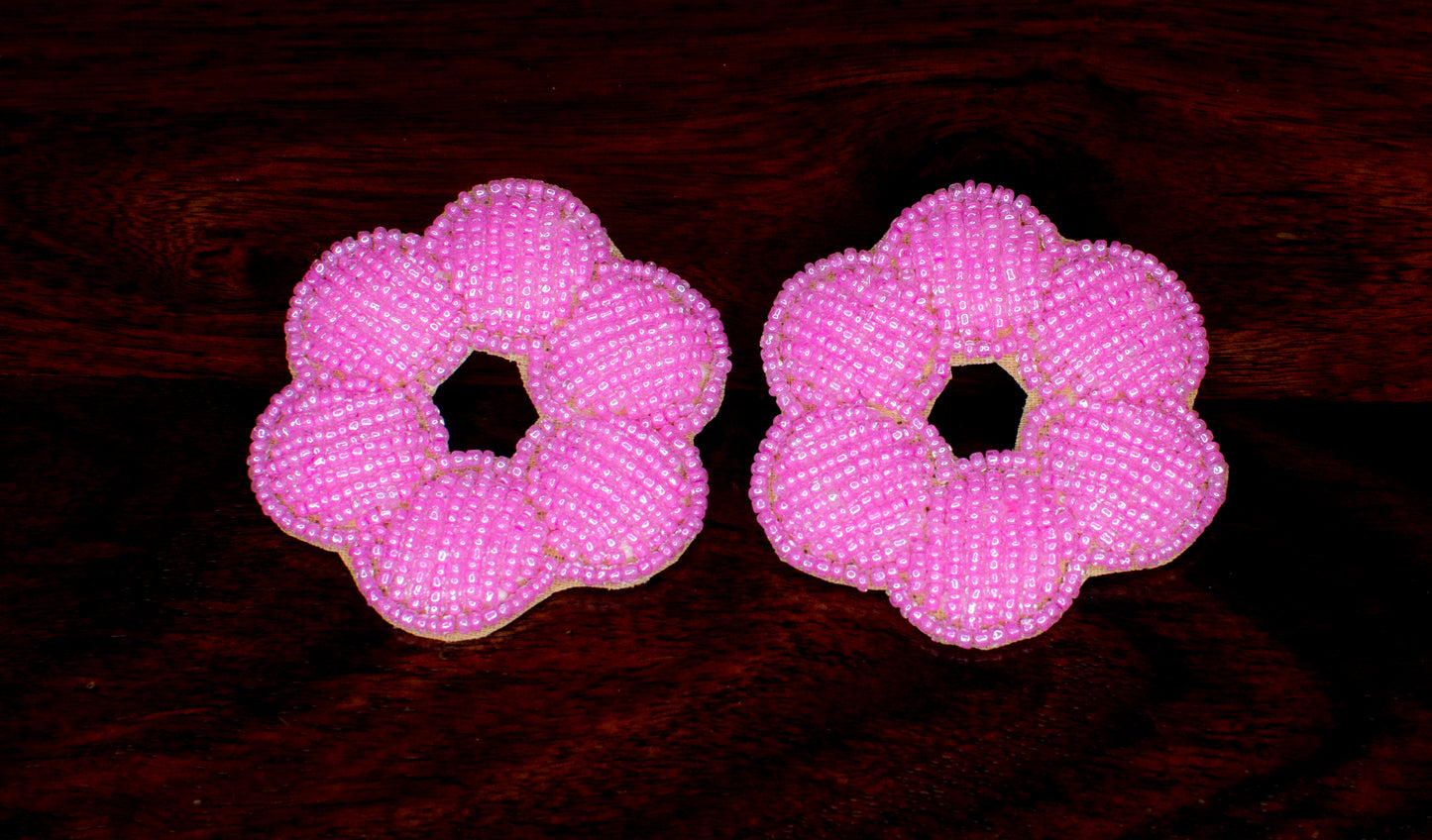 Beads Embroidered Earrings : Handmade