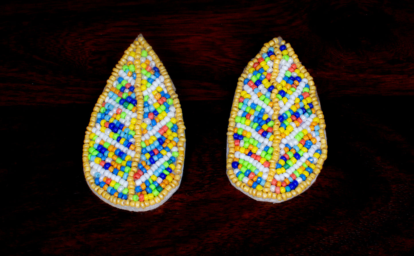 Beads Embroidered Earrings : Handmade
