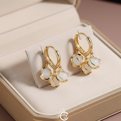 Pretty Crystal Hoop Earrings
