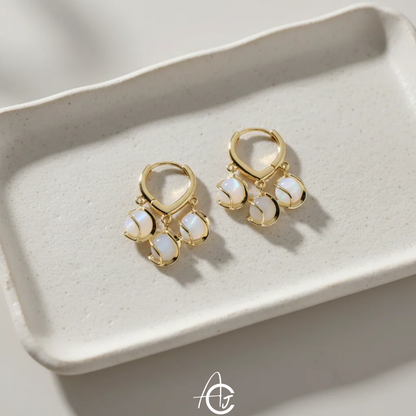 Pretty Crystal Hoop Earrings